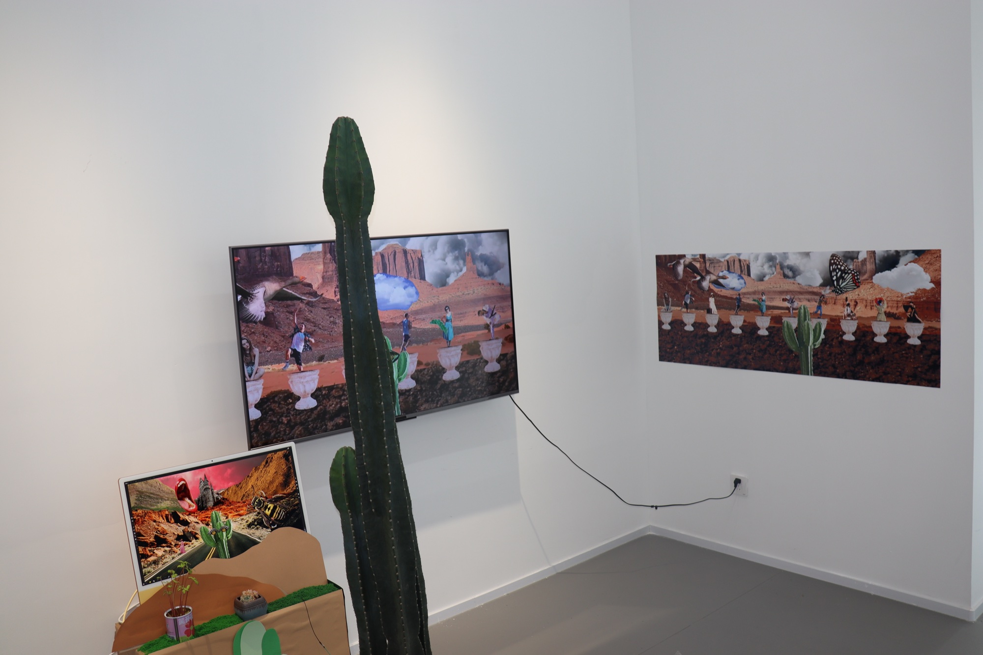 Full A Cactus’s Gaze installation with cactus, two screens and a wall-mounted collage
