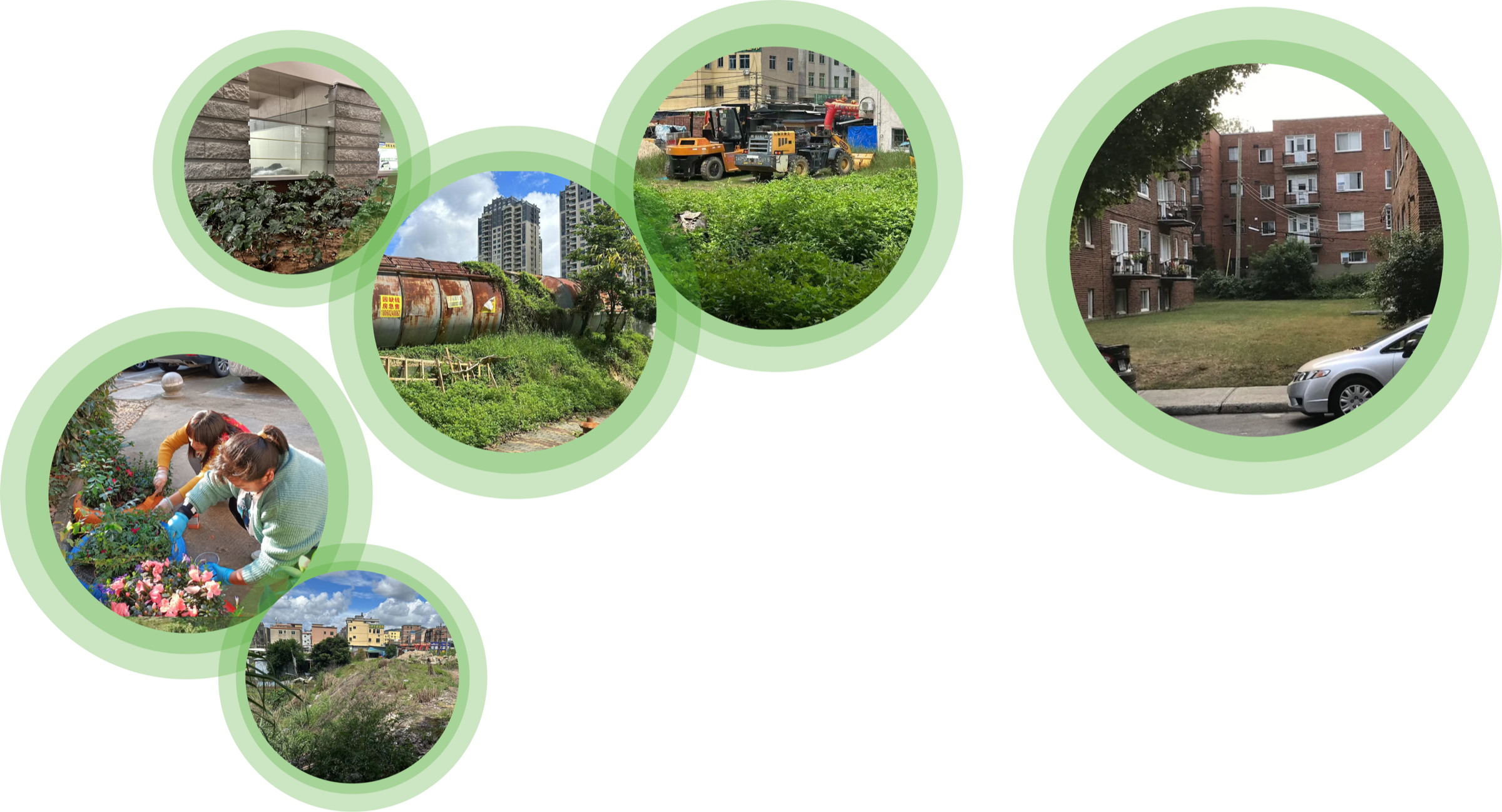 A visual record of early observations across cultivated, underused and comparable residential spaces