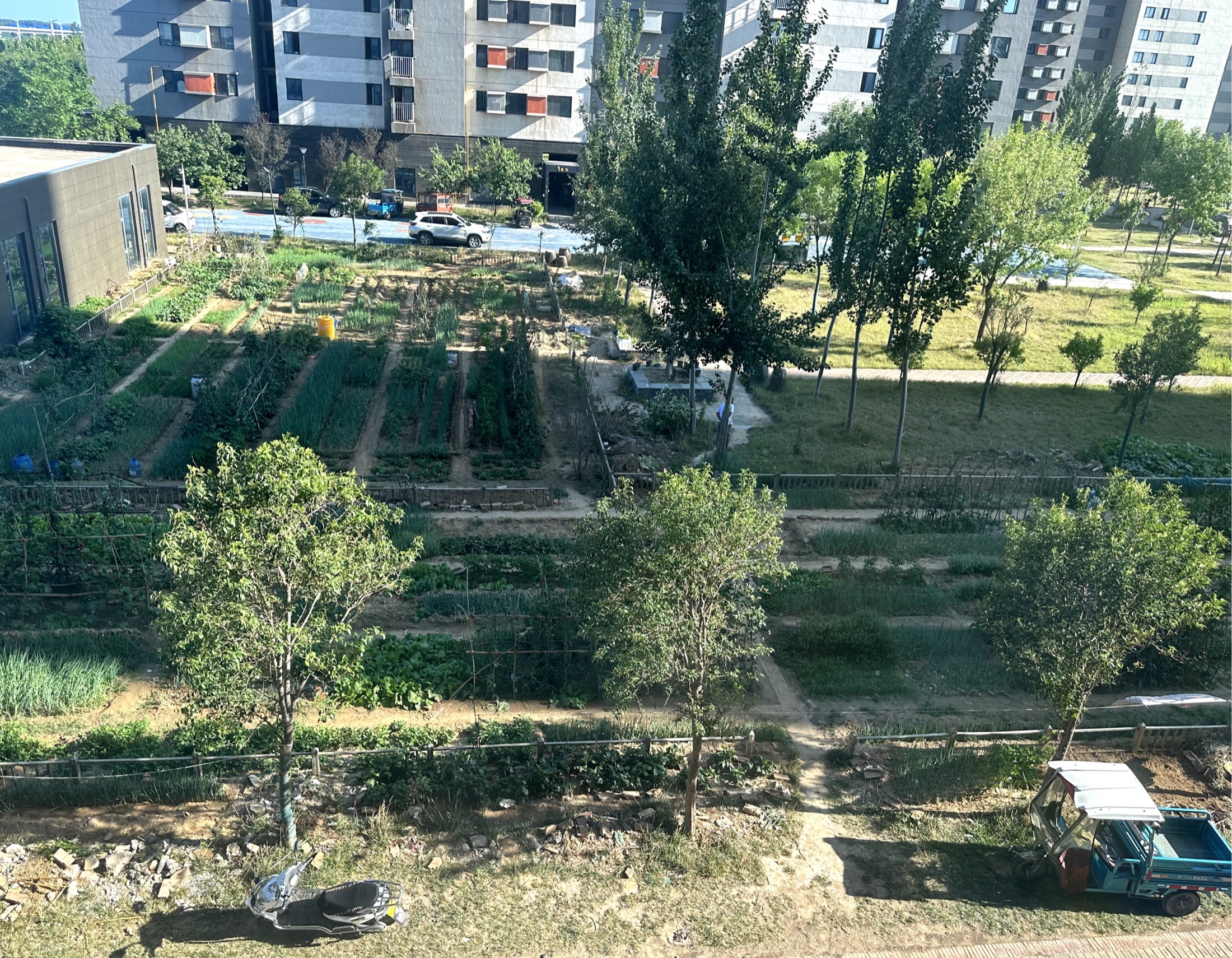 An aerial view of active resident growing plots within a residential development